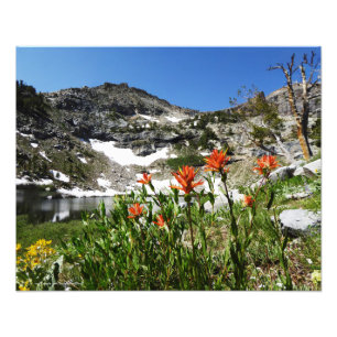 Mountains, Wildflowers, Lake Photo Print 20" x 16"