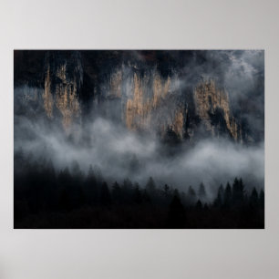 Mountains with fog through spruce forest poster