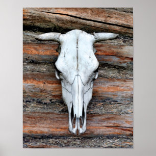 Mounted Cow Skull Poster
