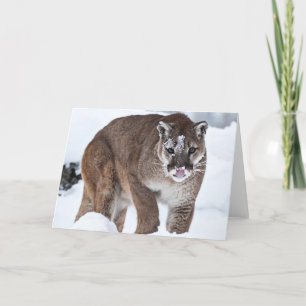 Mountina Lion on the Prowl Card