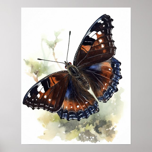 Mourning Cloak Butterfly Art Print Poster (Front)
