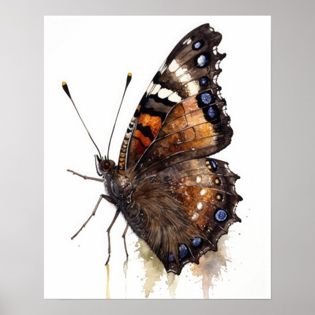 Mourning Cloak Butterfly Art Print Poster (Front)