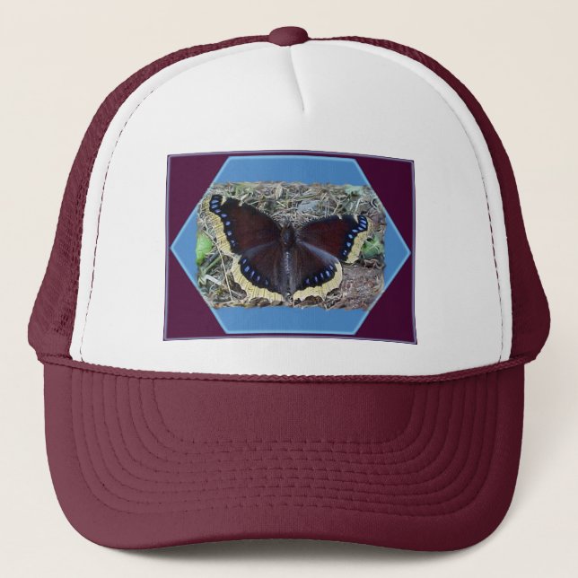 Mourning Cloak Butterfly Hat (Front)