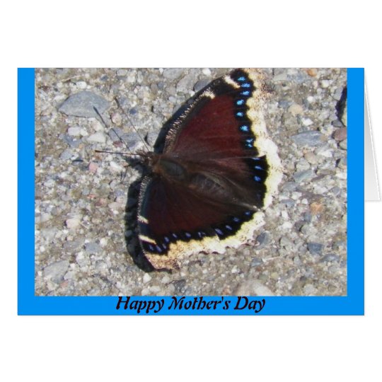 Mourning Cloak Butterfly Mother's Day Card