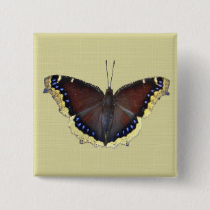 Mourning Cloak Butterfly - Nymphalis antiopa 15 Cm Square Badge