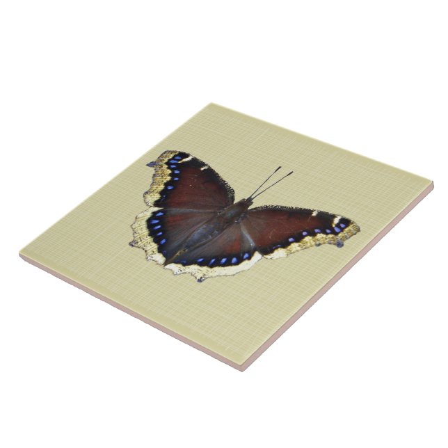 Mourning Cloak Butterfly - Nymphalis antiopa Ceramic Tile (Side)