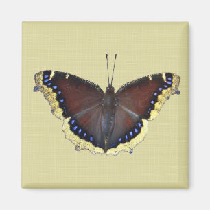 Mourning Cloak Butterfly - Nymphalis antiopa Magnet