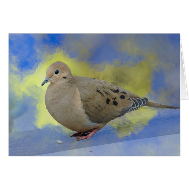 Mourning Dove (Front Horizontal)