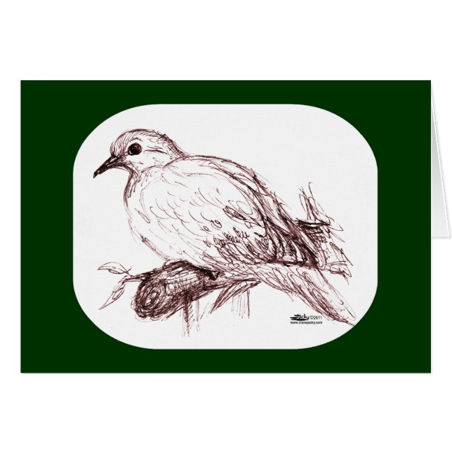 Mourning Dove Baby (Front Horizontal)