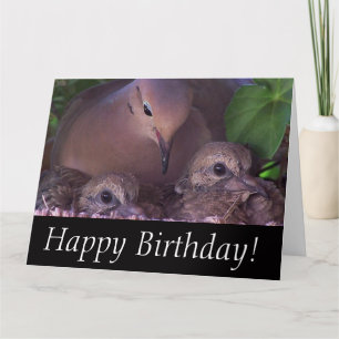 Mourning Dove Baby Birds Wildlife Animals Card
