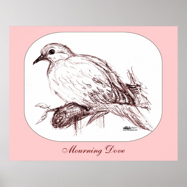 Mourning Dove Baby Poster (Front)