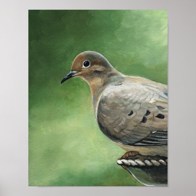 Mourning Dove Bird Art Print (Front)