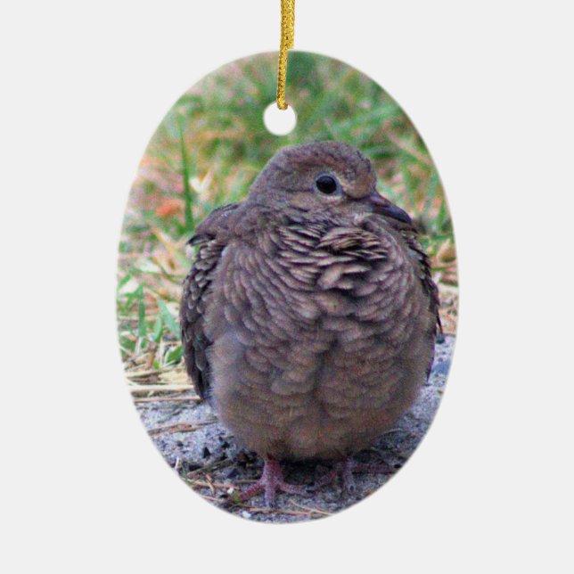 Mourning Dove Bird Ornament  (Front)