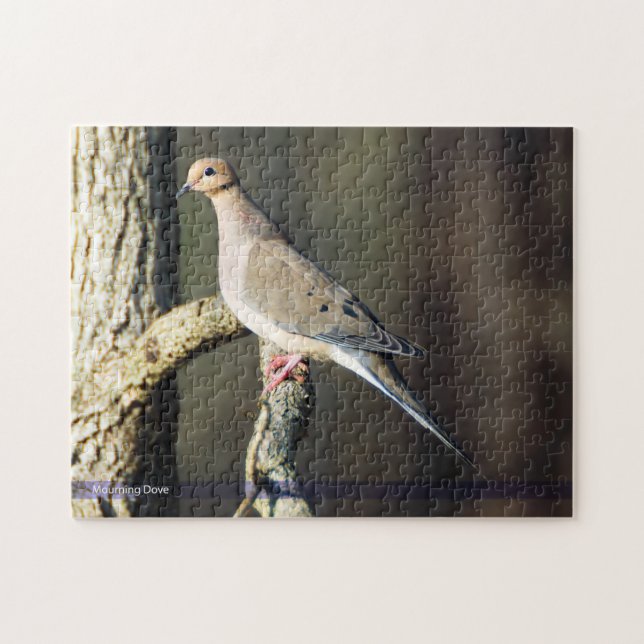 Mourning Dove Bird Puzzle (Horizontal)