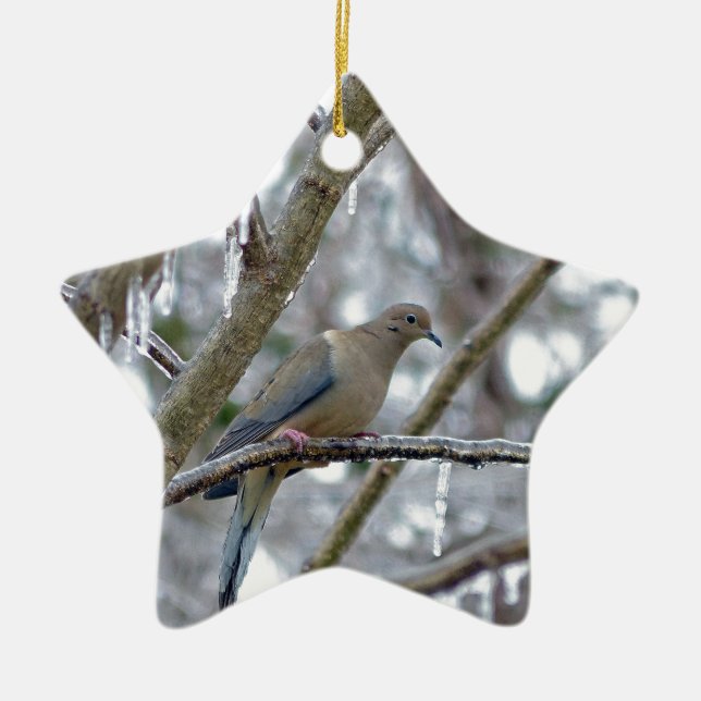 Mourning Dove Ceramic Ornament (Front)