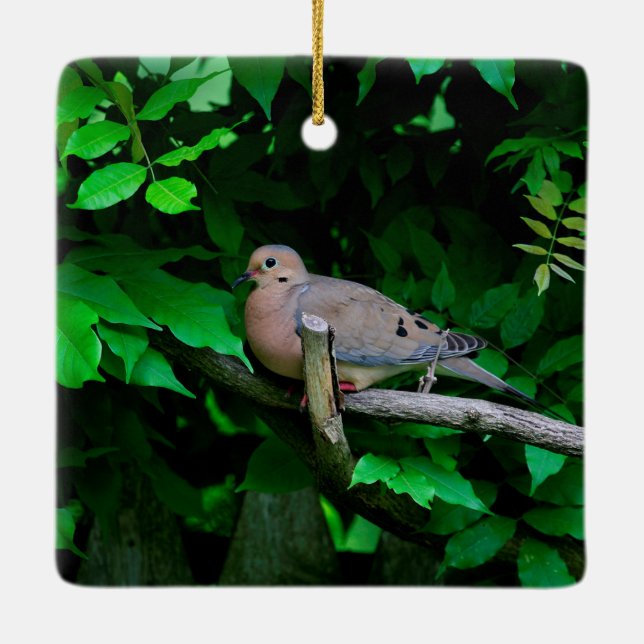 Mourning Dove Ceramic Ornament (Back)