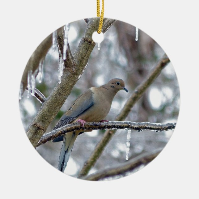Mourning Dove Ceramic Tree Decoration (Front)