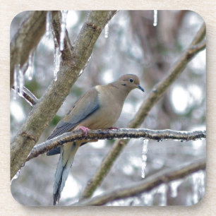 Mourning Dove Coaster
