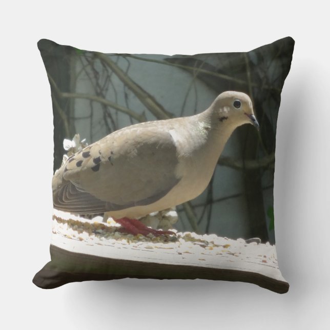 Mourning Dove Cushion (Front)