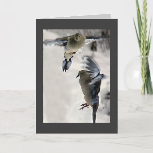 Mourning Dove Holiday Card (Front)