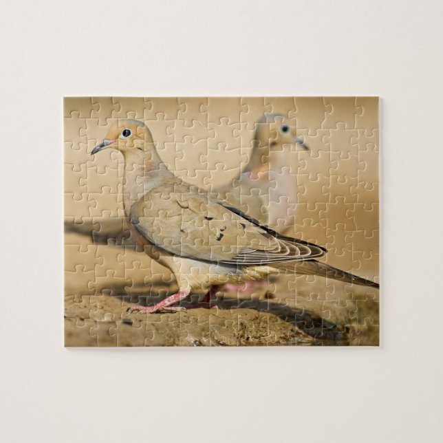 Mourning Dove Jigsaw Puzzle (Horizontal)
