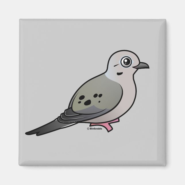 Mourning Dove Magnet (Front)