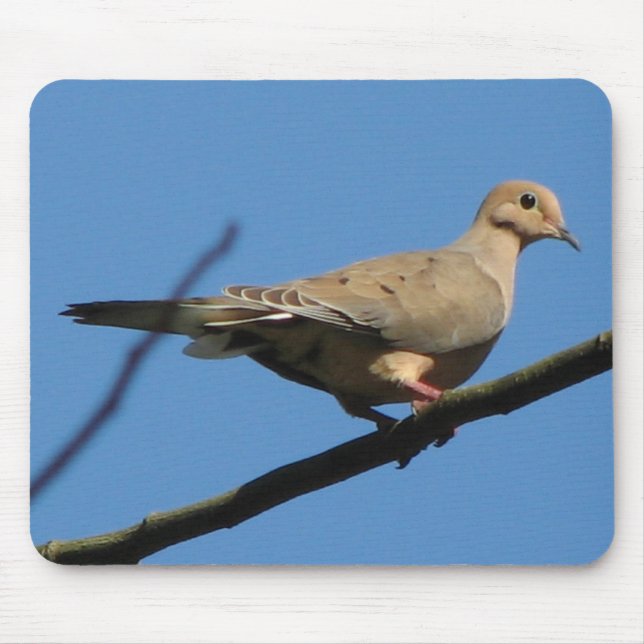 Mourning Dove Mousepad (Front)