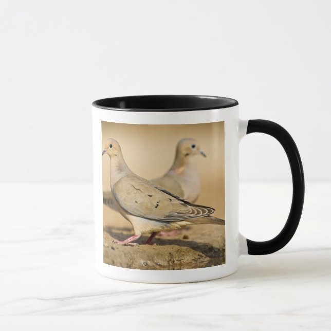 Mourning Dove Mug (Right)