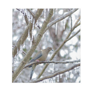 Mourning Dove Notepad