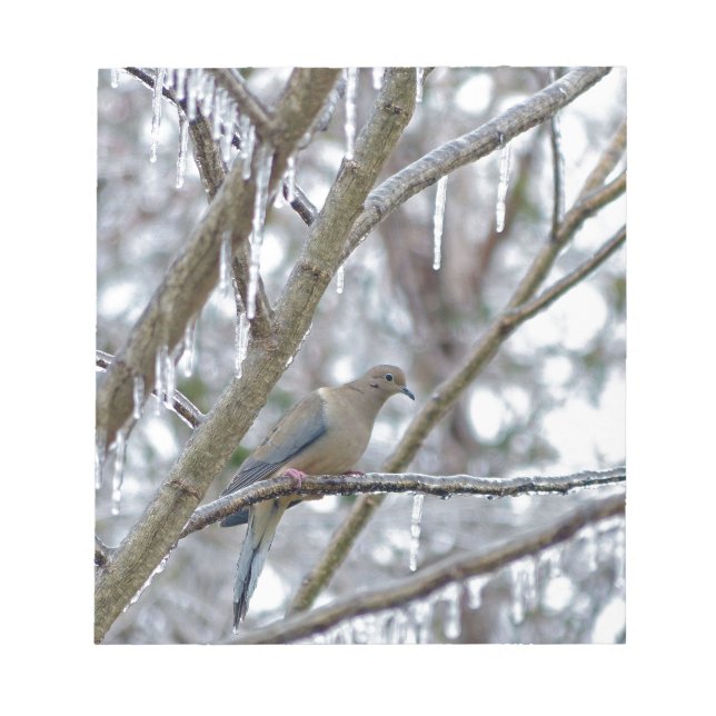 Mourning Dove Notepad (Front)