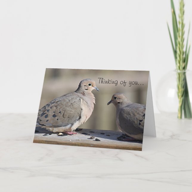 Mourning dove photo card (Front)