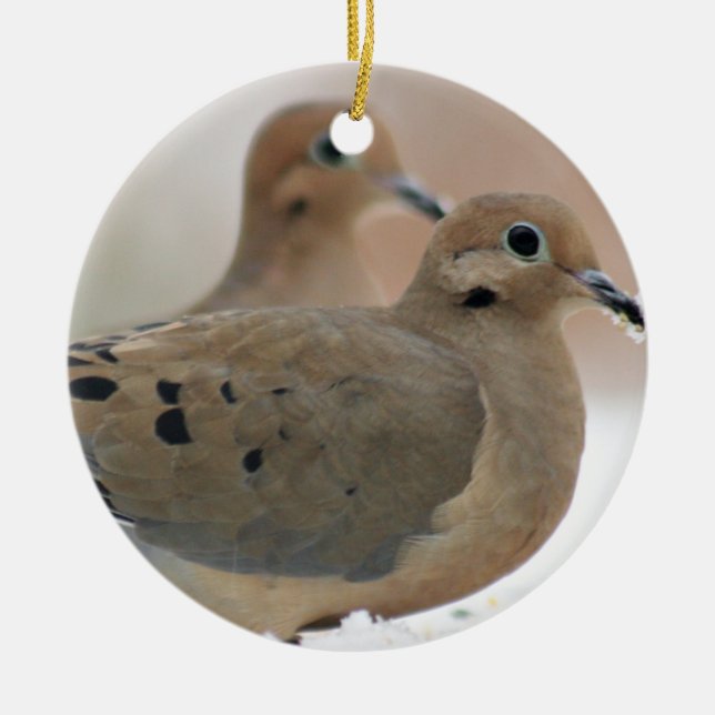 Mourning dove photo ceramic ornament (Front)
