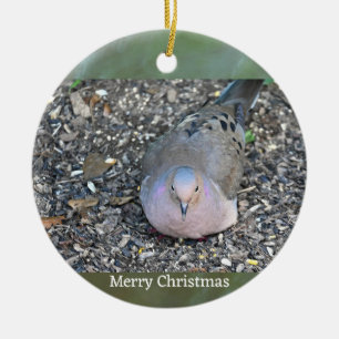 Mourning Dove Photo Ornament 