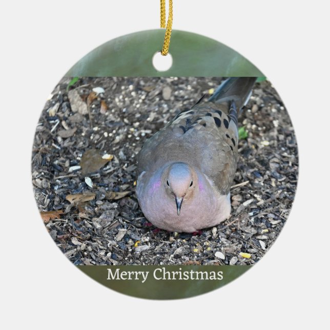 Mourning Dove Photo Ornament  (Front)