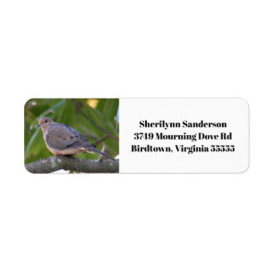 Mourning Dove Photo Return Address Label