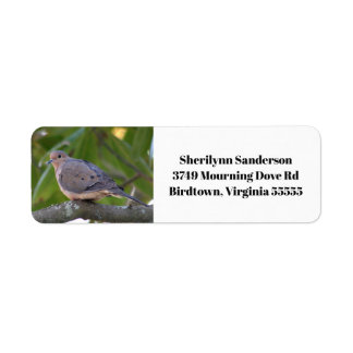 Mourning Dove Photo Return Address Label