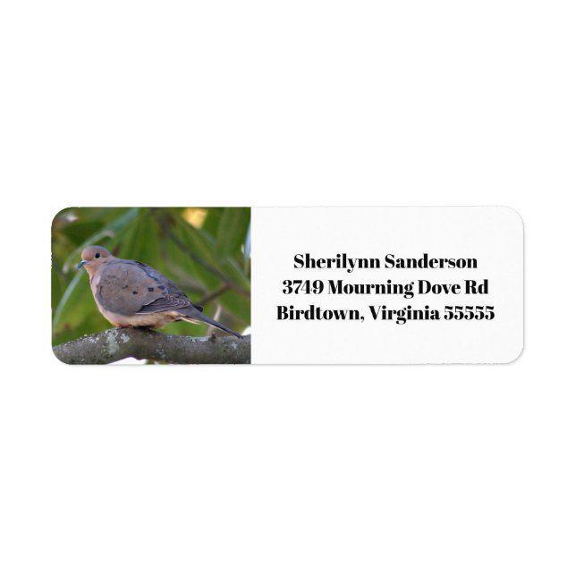 Mourning Dove Photo Return Address Label (Front)