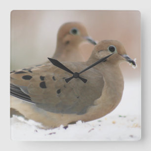 Mourning dove photography square wall clock