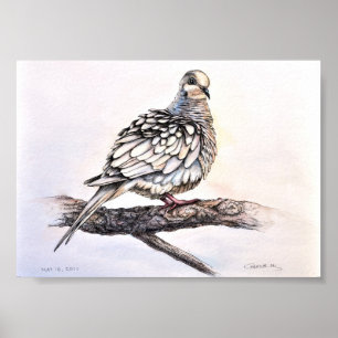 Mourning Dove Print