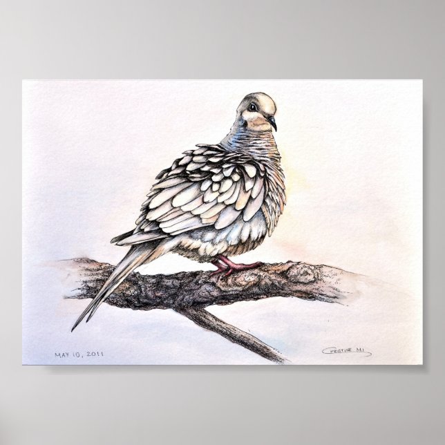 Mourning Dove Print (Front)