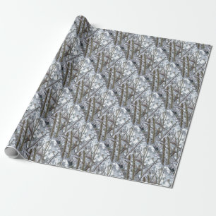Mourning Dove Wrapping Paper