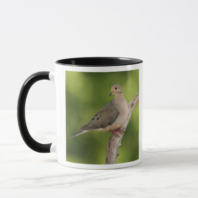 Mourning Dove, Zenaida macroura Mug (Left)