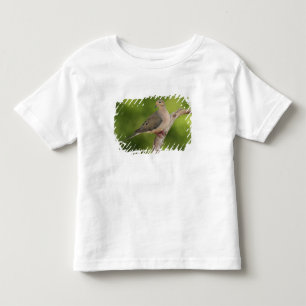Mourning Dove, Zenaida macroura Toddler T-Shirt