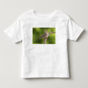 Mourning Dove, Zenaida macroura Toddler T-Shirt
