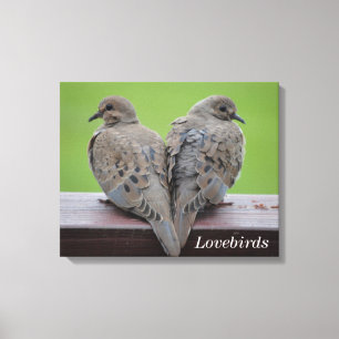 Mourning Doves Canvas Print