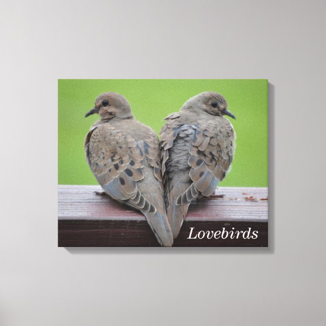 Mourning Doves Canvas Print (Front)