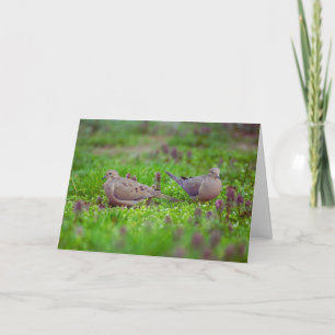 Mourning Doves in Grass Loss of Twin Sympathy Card