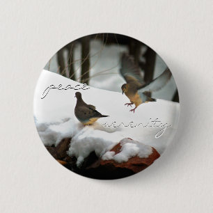 Mourning Doves Photo 6 Cm Round Badge