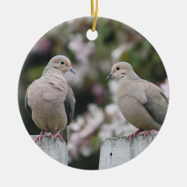 Mourning Doves Photo Ceramic Ornament (Front)