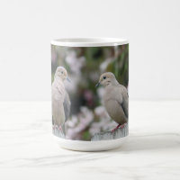 Mourning Doves Photo